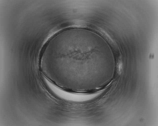X0000094450484200711151431