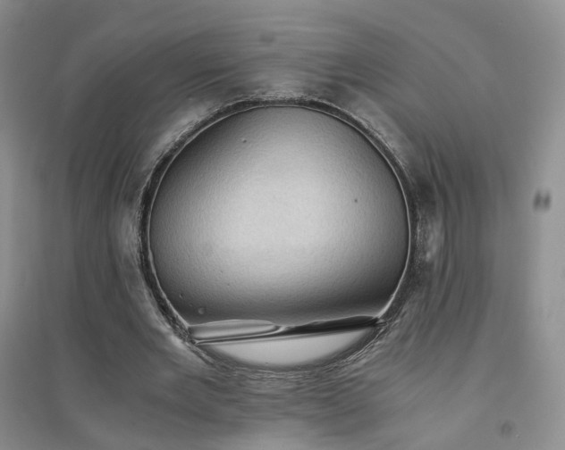 X0000094450485200711151431
