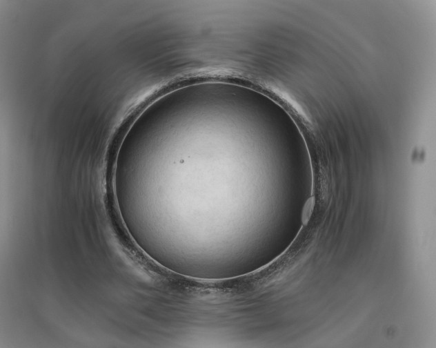 X0000094450486200711151431