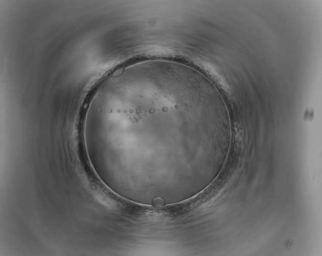 X0000094450487200711151431