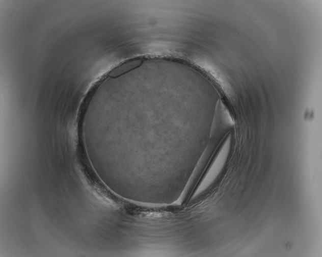 X0000094450488200711151431