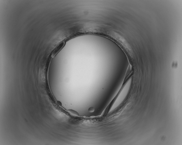 X0000094450489200711151431