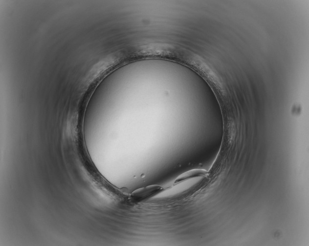 X0000094450490200711151431
