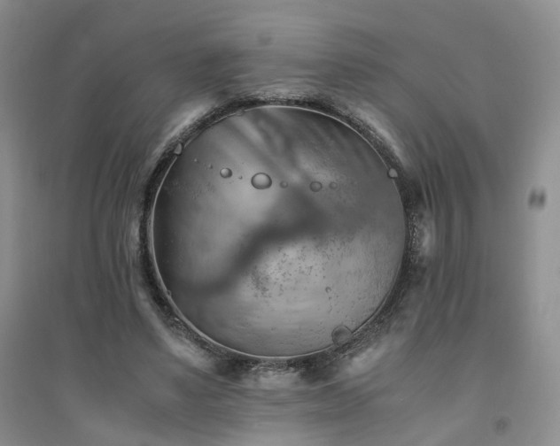 X0000094450491200711151431