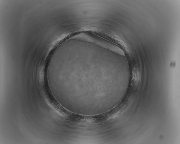 X0000094450492200711151431