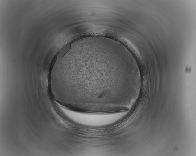 X0000094450493200711151431