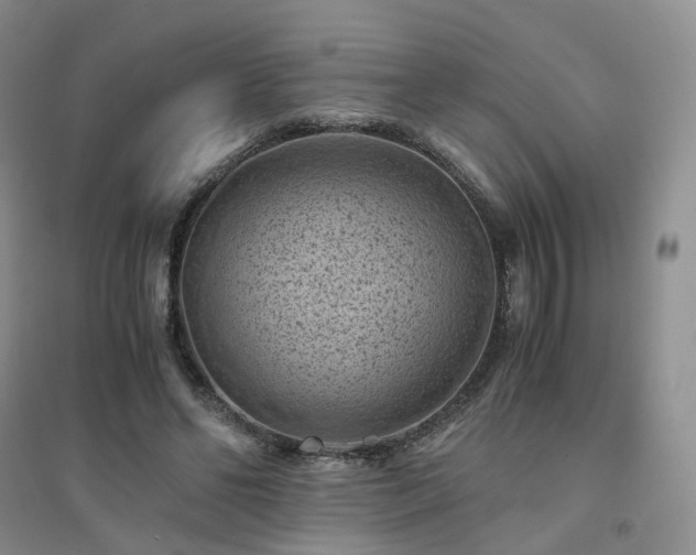 X0000094450494200711151431