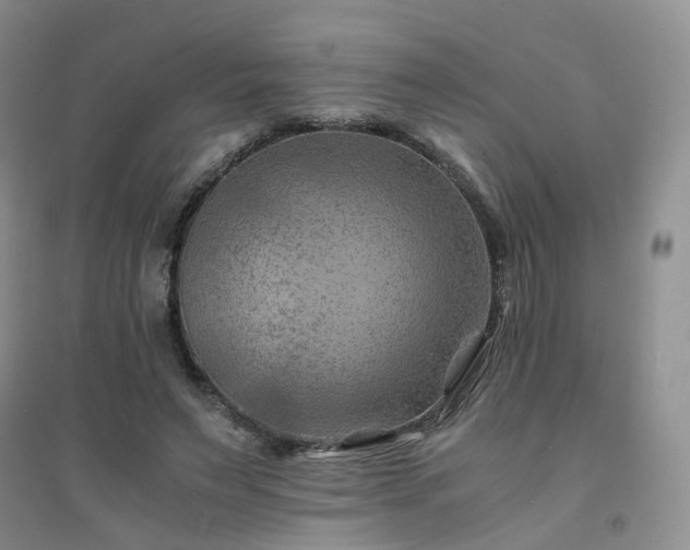X0000094450495200711151431