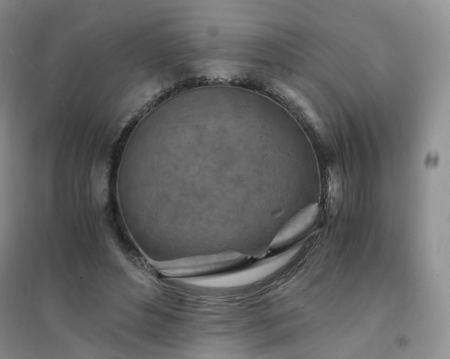 X0000094450496200711151431