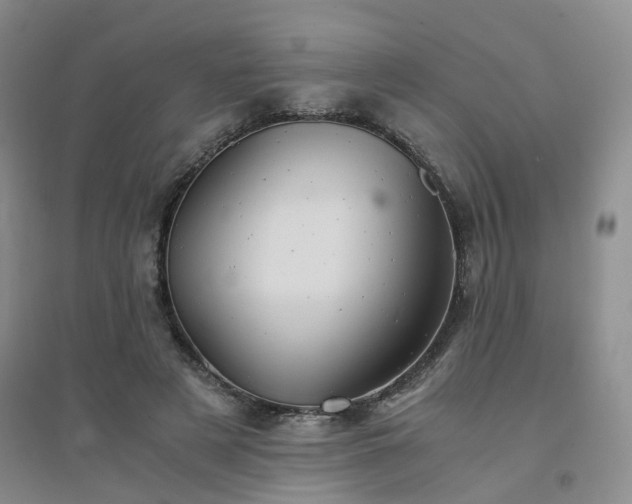 X0000094450497200711151431