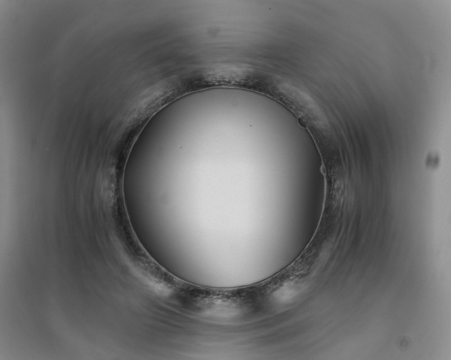 X0000094450498200711151431