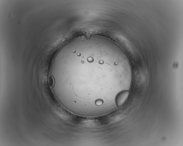 X0000094450499200711151431