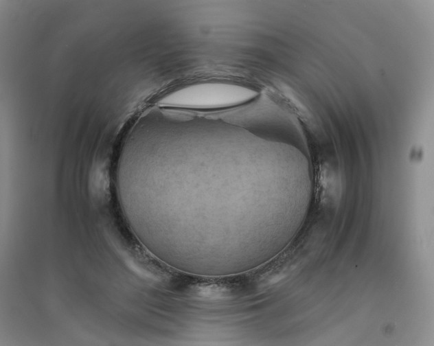 X0000094450500200711151431