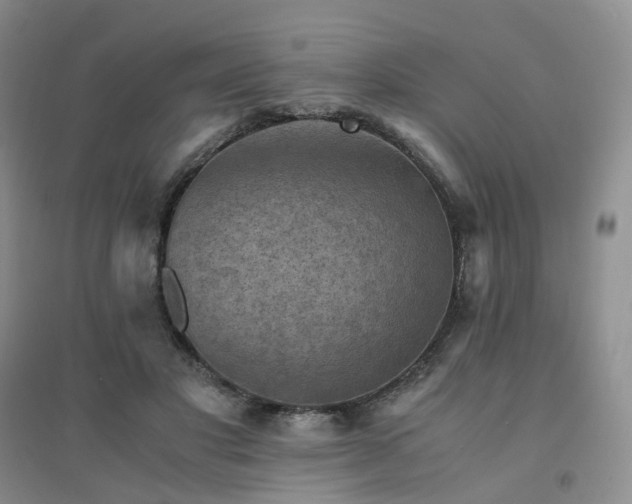 X0000094450501200711151431