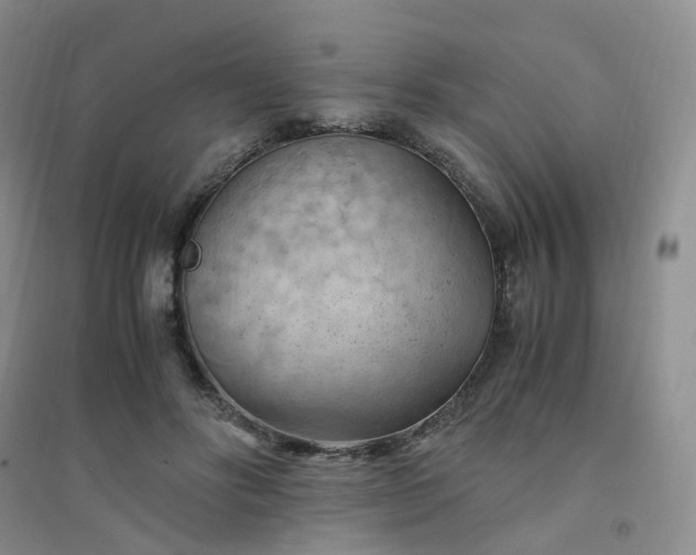 X0000094450502200711151430