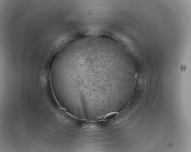 X0000094450503200711151430