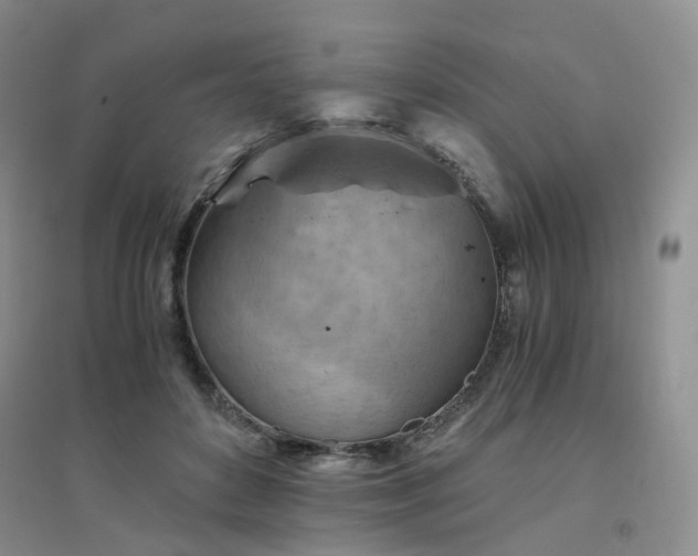 X0000094450504200711151430