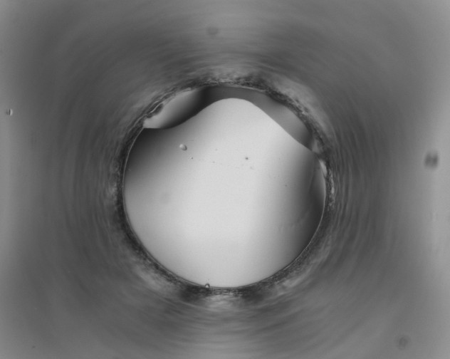 X0000094450505200711151430