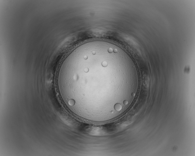 X0000094450507200711151430