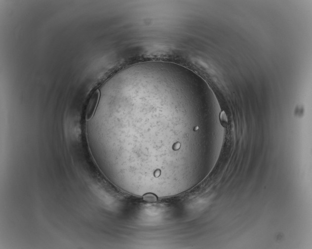 X0000094450508200711151430