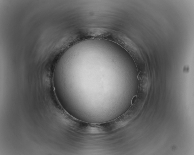 X0000094450510200711151430