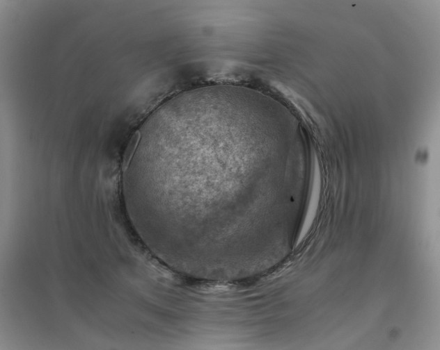 X0000094450513200711151430