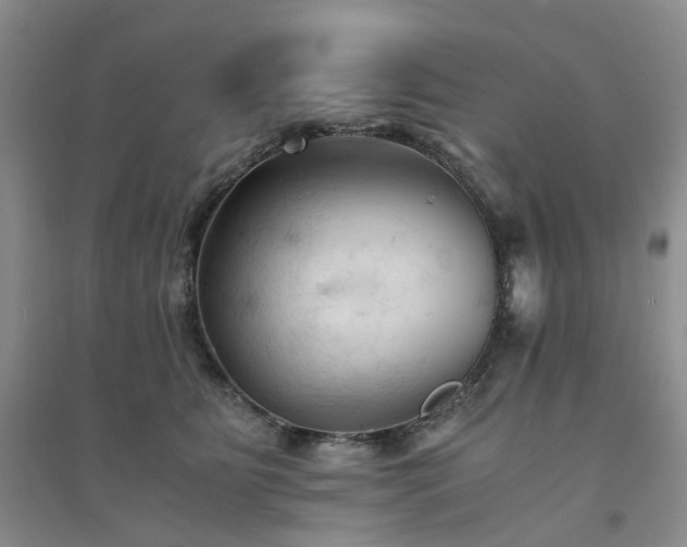 X0000094450515200711151430