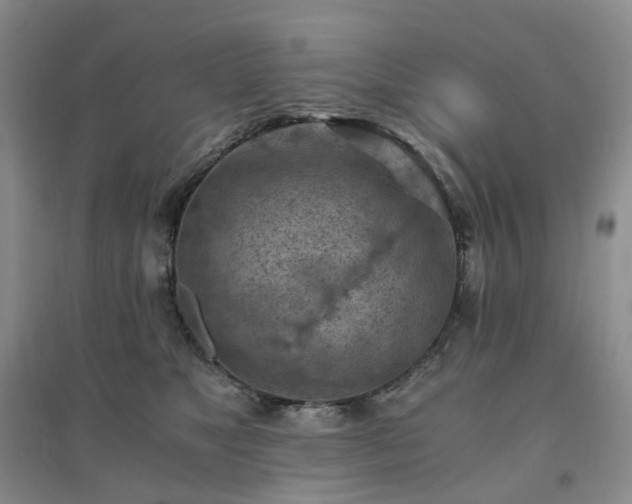 X0000094450517200711151430