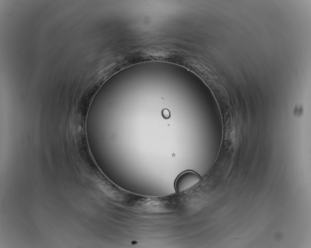 X0000094450518200711151430