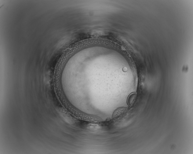 X0000094450519200711151430
