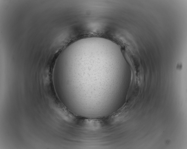 X0000094450520200711151430