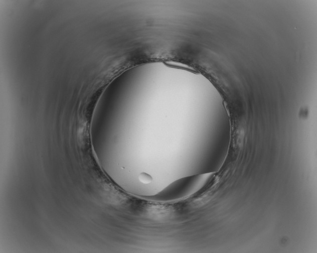 X0000094450521200711151430