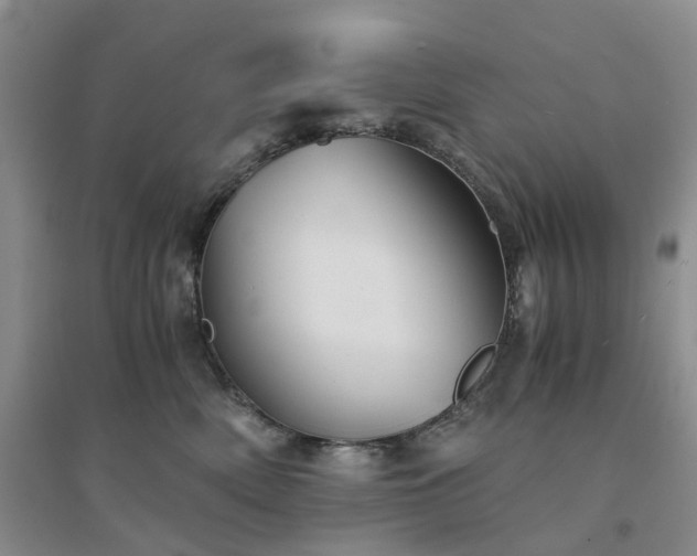 X0000094450522200711151430