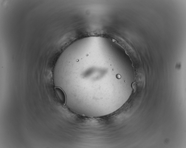 X0000094450523200711151430