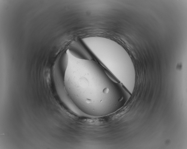 X0000094450524200711151430