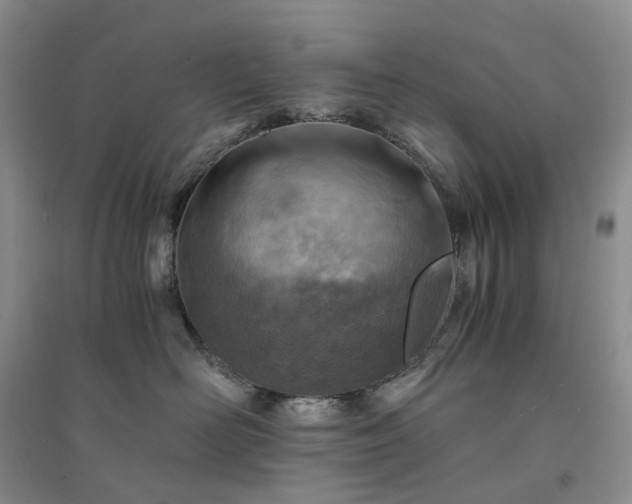 X0000094450526200711151430