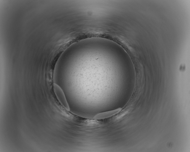 X0000094450528200711151430