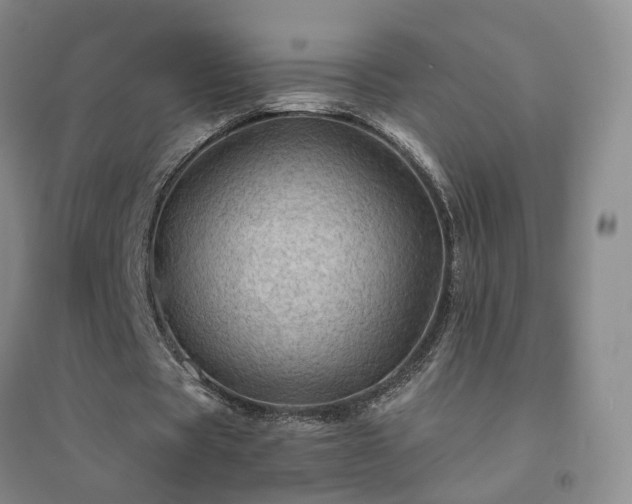 X0000094450529200711151429