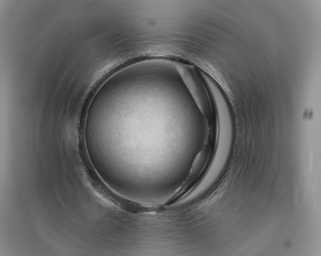 X0000094450530200711151429