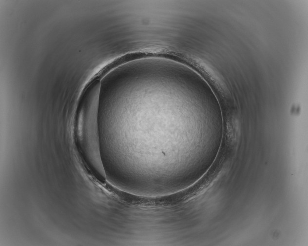 X0000094450532200711151429