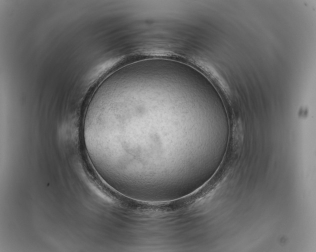 X0000094450533200711151429