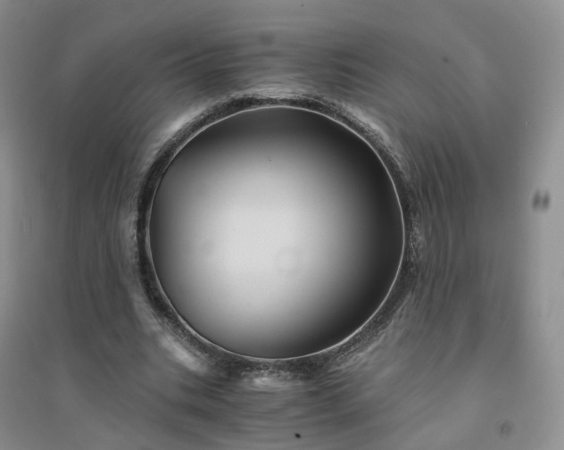 X0000094450535200711151429