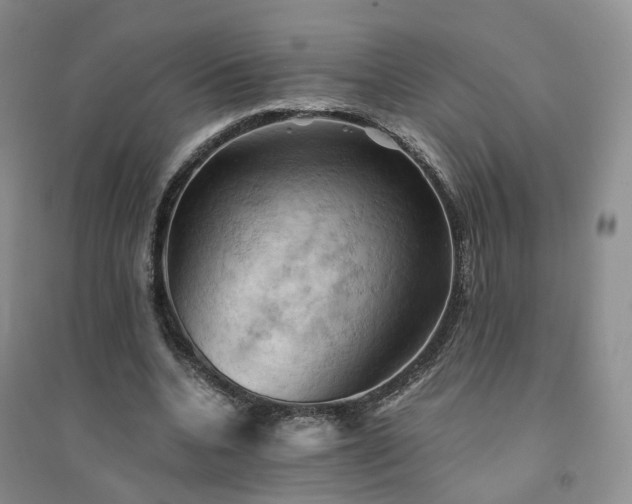 X0000094450536200711151429
