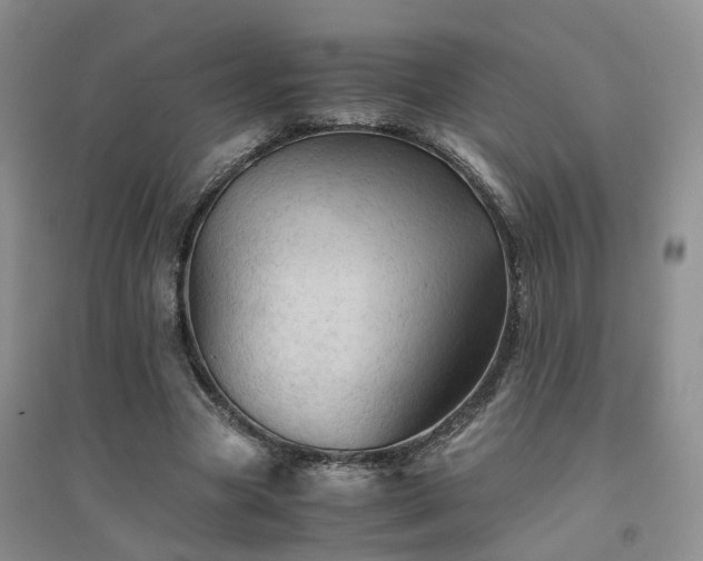 X0000094450537200711151429