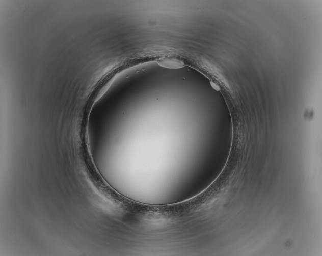 X0000094450538200711151429