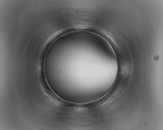 X0000094450539200711151429