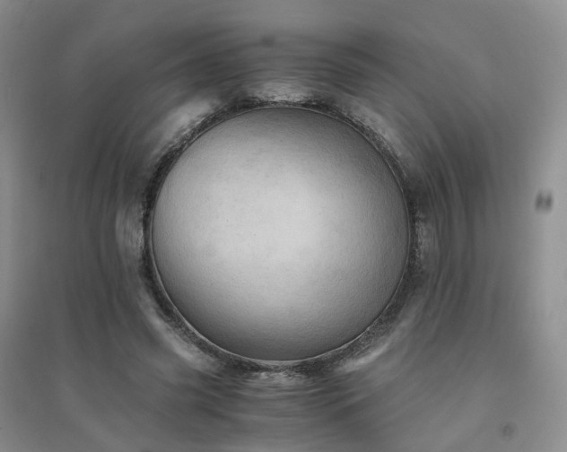 X0000094450541200711151429