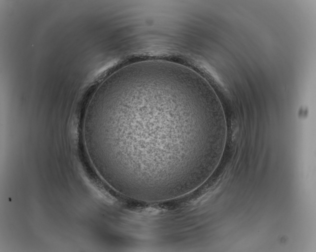 X0000094450542200711151429