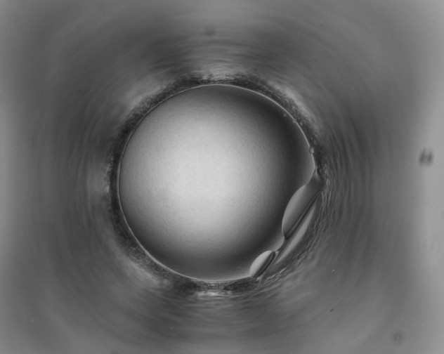 X0000094450543200711151429