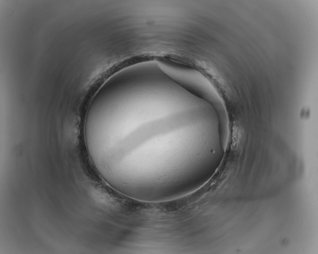 X0000094450544200711151430